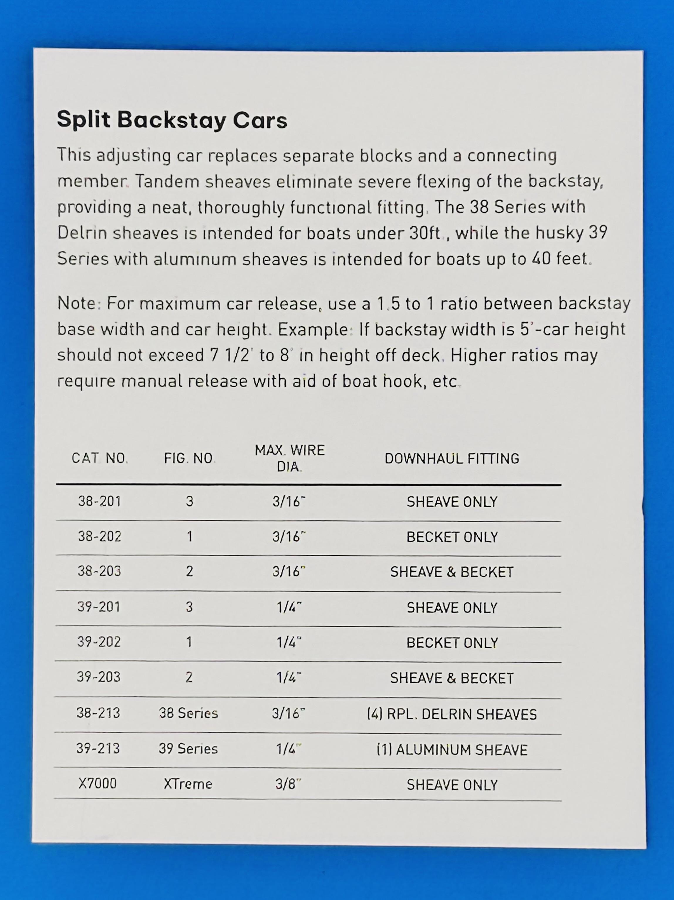 38-39 cat